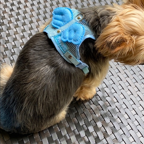 Doggy Angel harness 🐶 model is 7 lbs , wearing S - Picture 3 of 6